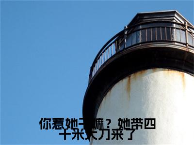 （何时慢顾砚之）你惹她干嘛？她带四十米大刀来了何时慢顾砚之无删减小说在线无广告高口碑小说