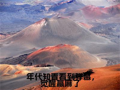 （年代知青看到弹幕，觉醒赢麻了）温夏暖小说最终篇章章节在线无广告高口碑小说