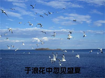 于浪花中忽见盛夏：结局+番外宝藏文全篇一口气_早期章节+后续（陆靳寒林见夏）