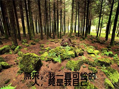 高分_原来，我一直可怜的人，竟是我自己小说(季洛初陆羽谦)（原来，我一直可怜的人，竟是我自己）全本完整阅读