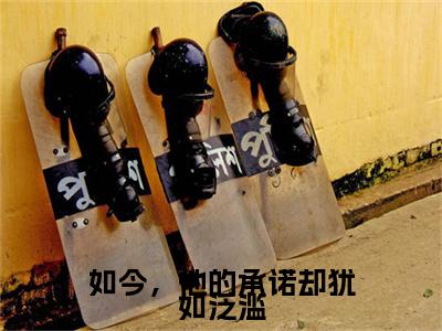 沈瓷靳砚修是什么小说(如今，他的承诺却犹如泛滥)（沈瓷靳砚修）全本完整清爽版在线+无广告结局