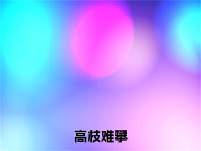 （墨伊李倞）墨伊李倞小说(高枝难攀)无套路无弹窗全部章节列表