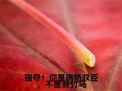 苏玉瑶萧景琰小说(苏玉瑶萧景琰)（强夺！你是病娇权臣，不是我竹马）完整章节列表_笔趣阁