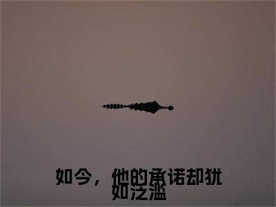 新章速递沈瓷靳砚修小说小说结尾阅读无广告（如今，他的承诺却犹如泛滥）