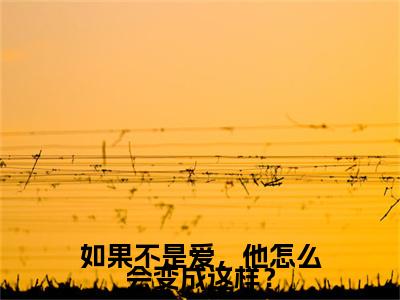 如果不是爱，他怎么会变成这样？小说章节目录+章节前文（晏星延江云雾）TXT清爽版在线