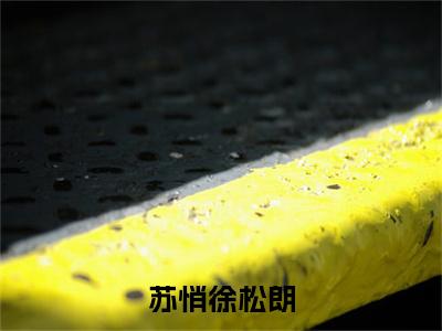 苏悄徐松朗小说番外+结局（苏悄徐松朗）小说在线阅读