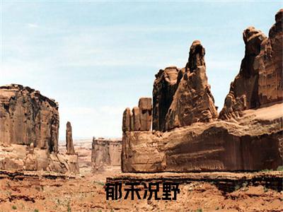郁禾况野郁禾况野后续（郁禾况野）全文在线下载在线+纯净版结局