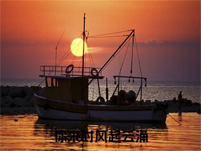 热文推荐夏天瑜陆翊小说（你来时风起云涌）前传列表