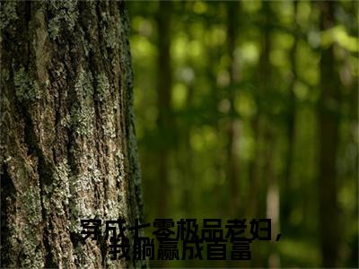 穿成七零极品老妇，我躺赢成首富后续（林秀贞顾秋瑾）全篇在线阅读前传