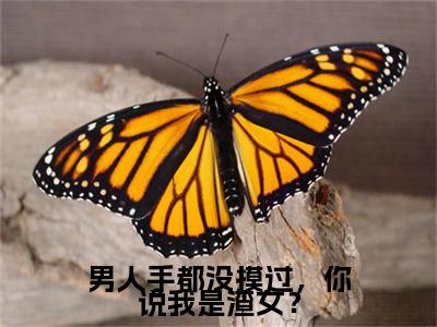江月顾平洲小说章节目录+序章（男人手都没摸过，你说我是渣女？）全书畅享在线