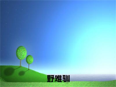夏雾周赴野完整在线阅读（野难驯）前传列表