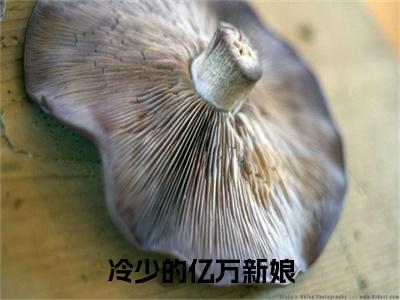 冷少的亿万新娘小说(蒋雪儿慕夜城)（冷少的亿万新娘）完整章节列表_笔趣阁