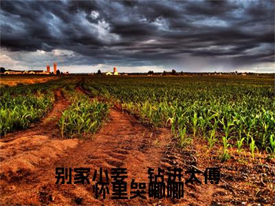 别家小妾，钻进太傅怀里哭唧唧幺娘虞衡卿附加(别家小妾，钻进太傅怀里哭唧唧)（幺娘虞衡卿）全本浏览阅读连载中