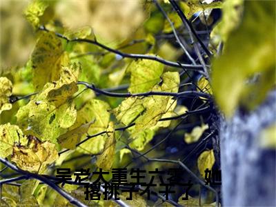 ﻿吴老太重生六零，她撂挑子不干了：完结+结局+番外（吴老太重生六零，她撂挑子不干了吴明夏：完结+结局+番外）