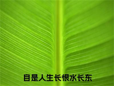 前传_笔趣阁（姜时宜）姜时宜小说(自是人生长恨水长东)章节在线阅读