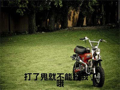独家打了鬼就不能打我了哦：结局+番外评价五颗星 （打了鬼就不能打我了哦）TXT免费版阅读