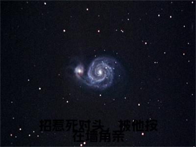 热文推荐招惹死对头，被他按在墙角亲小说大结局（向梨初傅淮礼）书荒必看列表