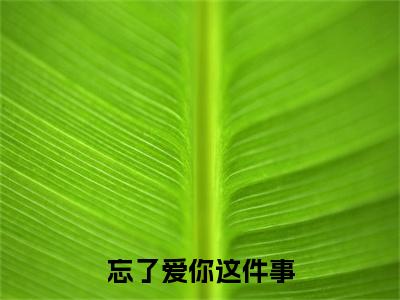 忘了爱你这件事特别篇章节目录+章节前文（陈野温温）TXT清爽版在线