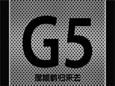 屋檐鹤归来去：+番外+后续在线阅读宁婉辞