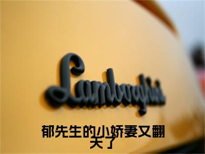 小说大结局小说郁先生的小娇妻又翻天了小说已更新+特别篇（墨未央郁廷川）纯净版