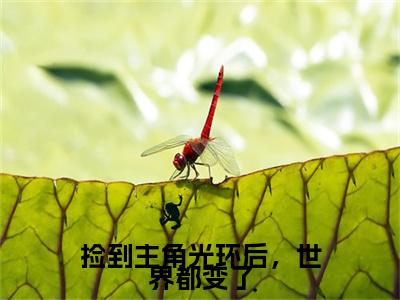 宋岫白附加(宋岫白)（捡到主角光环后，世界都变了）全本浏览阅读连载中