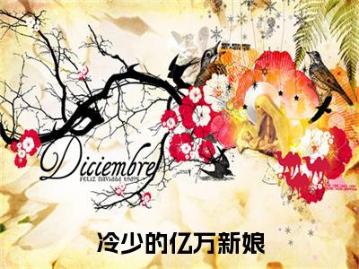 冷少的亿万新娘小说（蒋雪儿慕夜城）后续+番外精编之作无删减_（蒋雪儿慕夜城）冷少的亿万新娘小说结局+番外看点十足_笔趣阁