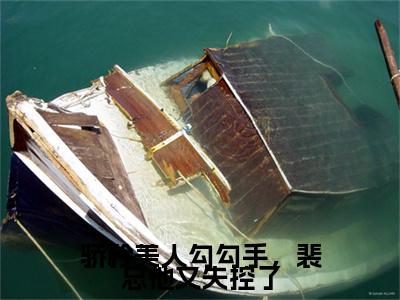 裴琰温梨小说(裴琰温梨)（骄矜美人勾勾手，裴总他又失控了）完整章节列表_笔趣阁