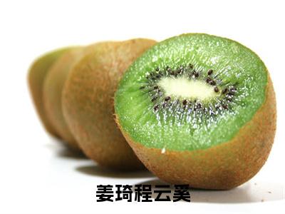 （书荒必看）姜琦程云奚小说TXT无套路阅读