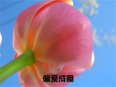 偏爱成瘾续集（陆闻时沈星河）章节在线阅读最近章节