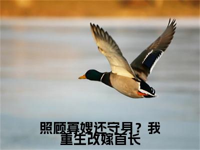 终章小说照顾寡嫂还守身？我重生改嫁首长：结局+番外(霍宏涛韩欣蕊)已更新+延伸（霍宏涛韩欣蕊）清爽版