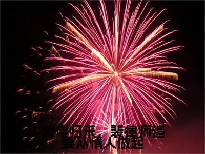 最新章节（宋苒）大佬归来，裴律师追妻从情人做起：结局+番外精品选集附加章节列表