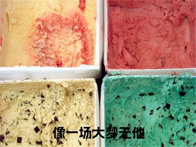 温叙言苏蘅(像一场大梦无他)全本完整阅读最新章节 温叙言苏蘅：结局+番外评价五颗星