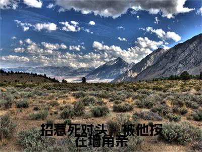 招惹死对头，被他按在墙角亲小说(向梨初傅淮礼)小说全集在线下载_章节前文+后续（招惹死对头，被他按在墙角亲）
