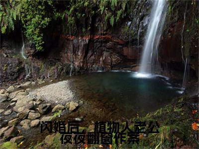 闪婚后，植物人老公夜夜翻窗作案小说章节目录+序章（萧骁霆沈涅）全书畅享在线