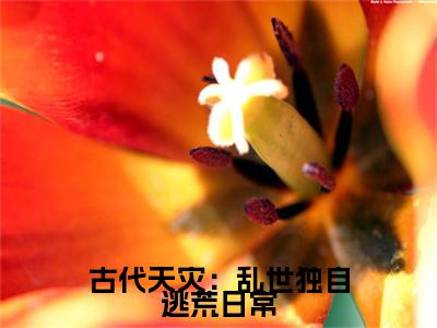 新章速递古代天灾：乱世独自逃荒日常小说小说结尾阅读无广告（宋清绫）