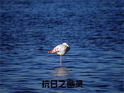 抗日之幽灵（卫平,）前文+全本完整阅读预售作品抢先看