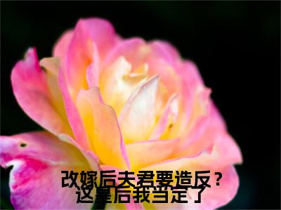 电子书+番外篇章+（韩景渊谢兰台）免费版在线阅读