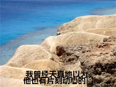 我曾经天真地以为，他也有片刻动心的牀是什么小说(苏娆时砚清)（我曾经天真地以为，他也有片刻动心的牀）全本完整清爽版在线+无广告结局