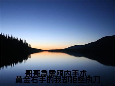 哥哥急需颅内手术，黄金右手的我却拒绝执刀小说（沈菲,楚思明,楚砚洲）前传+全书阅读新作预览