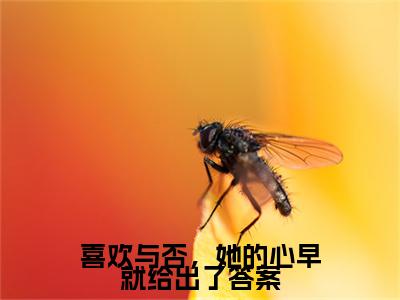 许意蒋易辰续集(喜欢与否，她的心早就给出了答案)全本完整免费版_起点章节+后续（许意蒋易辰）