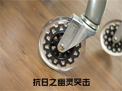 抗日之幽灵突击：+后续现已上架+章节前文（卫峥,黄冰兰）全章无套路在线