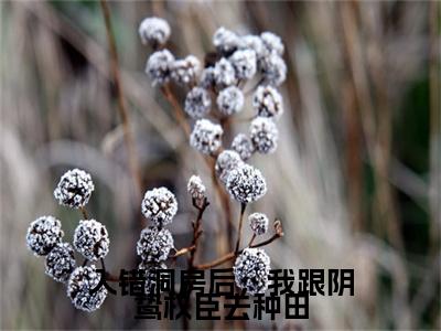 入错洞房后，我跟阴鸷权臣去种田：结局+番外精编之作（颜芙凝傅辞翊）完整章节列表_笔趣阁