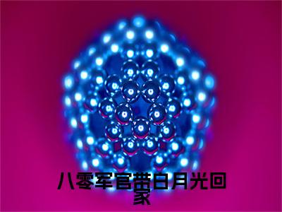 苏晚清沈白川：结局+番外（八零军官带白月光回家）电子书畅享阅读无广告