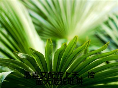 恶毒女配作上天，冷面大佬跪地哄小说完本+番外（沈黎）畅享阅读
