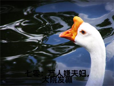 叶三秋陆思年小说（七零：万人嫌夫妇，大院发癫）TXT无套路在线+无广告结局