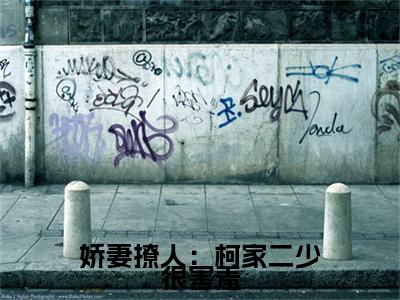 全网首发司琴小说叫什么(娇妻撩人：柯家二少很害羞)（司琴）全书阅读纯净阅读