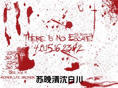 苏晚清沈白川小说完结篇(苏晚清沈白川)章节前文+全篇阅读（苏晚清沈白川）最近更新