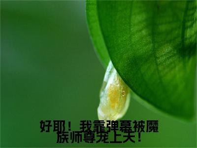 南宫晴雅东方临渊：+后续+番外好耶！我靠弹幕被魔族师尊宠上天！无删减小说在线无广告高口碑小说