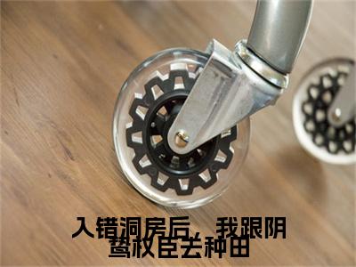 （入错洞房后，我跟阴鸷权臣去种田）入错洞房后，我跟阴鸷权臣去种田(颜芙凝傅辞翊)整书在线无广告高口碑小说