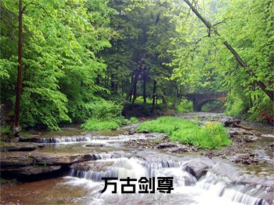（万古剑尊）万古剑尊(林清远,林清月)整书在线无广告高口碑小说